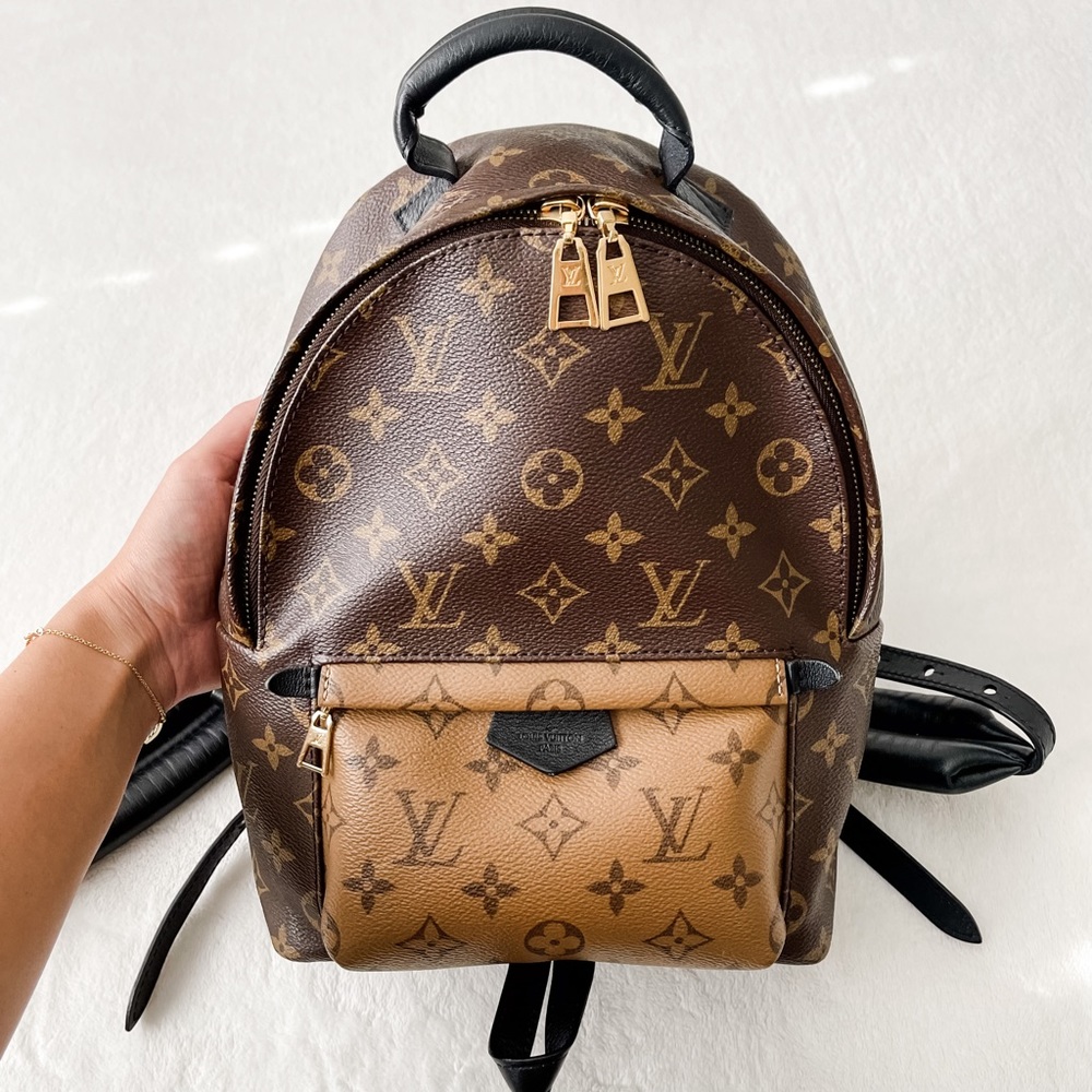 Louis Vuitton Palm Springs PM Backpack